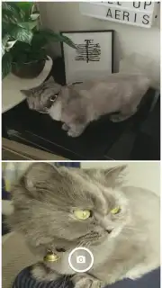 Motion Stills capture 3