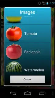 Kitchen timer capture 4