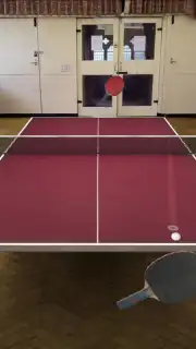 Table Tennis Touch capture 5