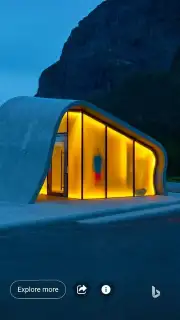 Bing capture 4