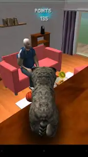 Cat Simulator capture 5
