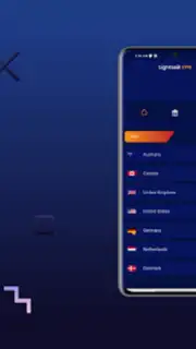 Light VPN - Secure VPN capture 1