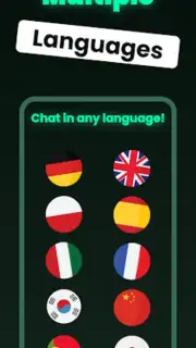 Chatbot capture 2