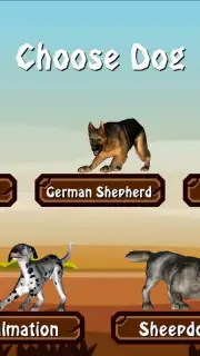 Doggy Dog Universe capture 10
