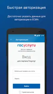 ПФР Электронные сервисы capture 6