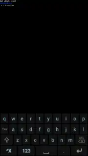 Dungeon Crawl: Stone Soup capture 4