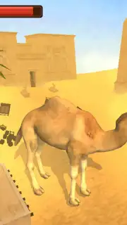 Camel Simulator capture 2