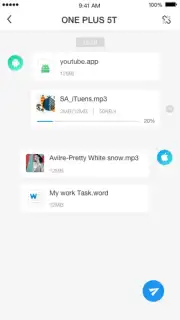 AnyTrans capture 2