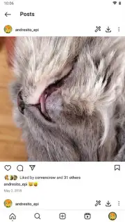 Honista capture 9