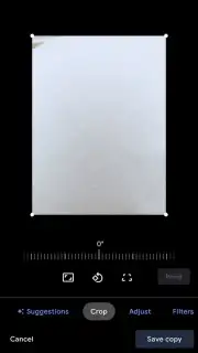 HedgeCam 2 capture 3