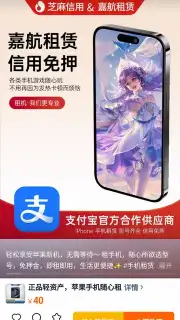 Taobao capture 2