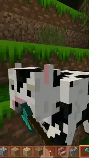 King Craft capture 7