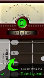 Pro Guitar Tuner capture 6