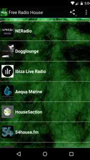 Free Radio House Live capture 4