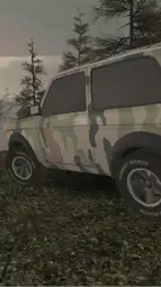 Forest Roads. Niva capture 1