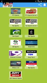 Live Sports TV capture 2