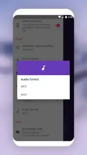 MP3 Recorder capture 9