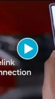 Bluelink capture 1