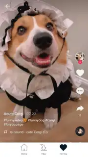 Downloader for TikTok capture 1
