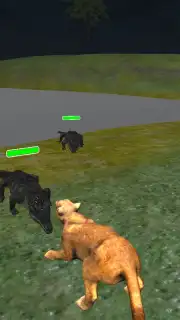 Puma Survival capture 1