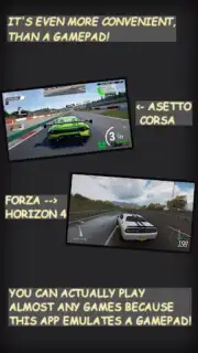 Steering Wheel capture 4