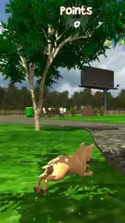 Virtual Puppy Simulator capture 8