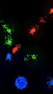 Auralux capture 3