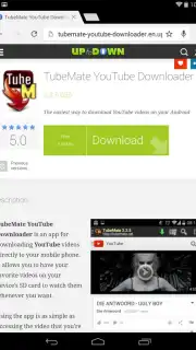 Chrome Dev capture 4