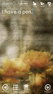 Secret Notes capture 7