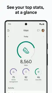 Fitbit capture 1