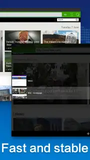 Web Browser capture 5