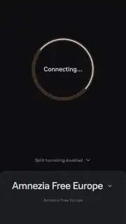 Amnezia VPN capture 12