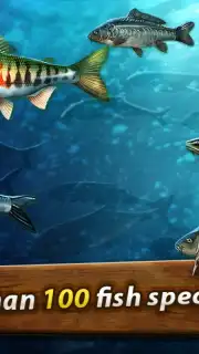 Gone Fishing: Trophy Catch capture 8