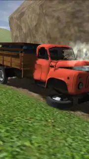 Truck Driver 3D capture 9