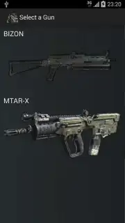 Gun Camera capture 12