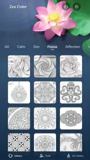 Zen Color capture 18