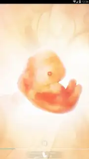 Pregnancy + capture 8