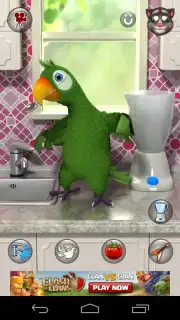 Talking Pierre capture 3
