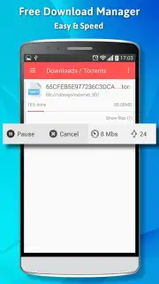 Free Download Manager capture 1