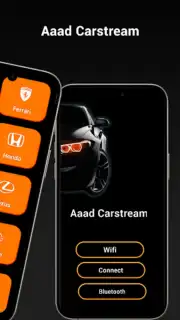 aaad Carstream capture 2