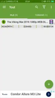 IDM (internet download menager) capture 1