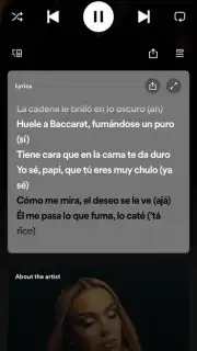 Spotify capture 14