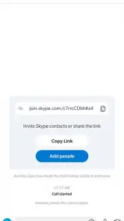 Skype capture 8