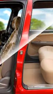Car ASMR Makeover capture 7