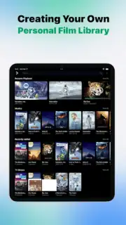 VidHub capture 2