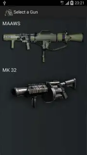 Gun Camera capture 14