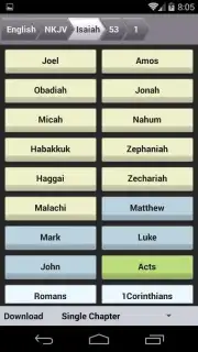 Live Bible capture 8