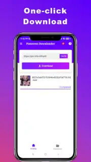 Downloader for Pinterest capture 3