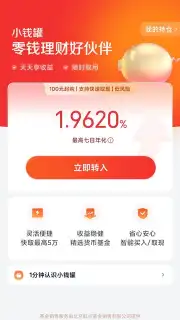 Mi Wallet capture 5
