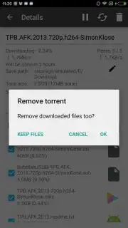 CatTorrent capture 4